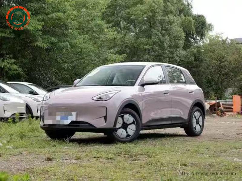 2026 Geely Xingyuan 310km Aspire Edition