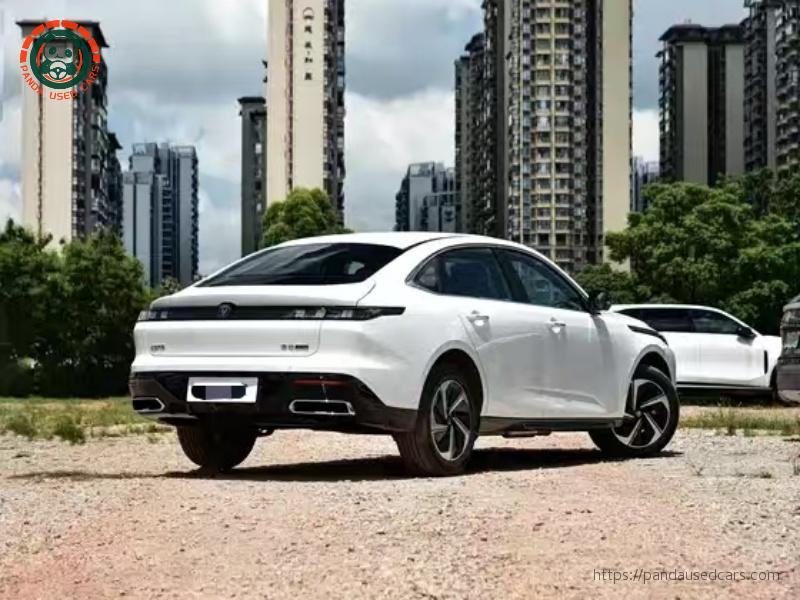 缩略图 6
