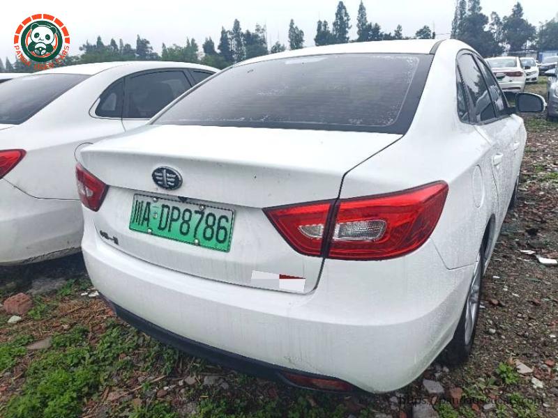 BESTUNE Bestune B30 New Energy 2018 B30EV Comfort Edition Automatic