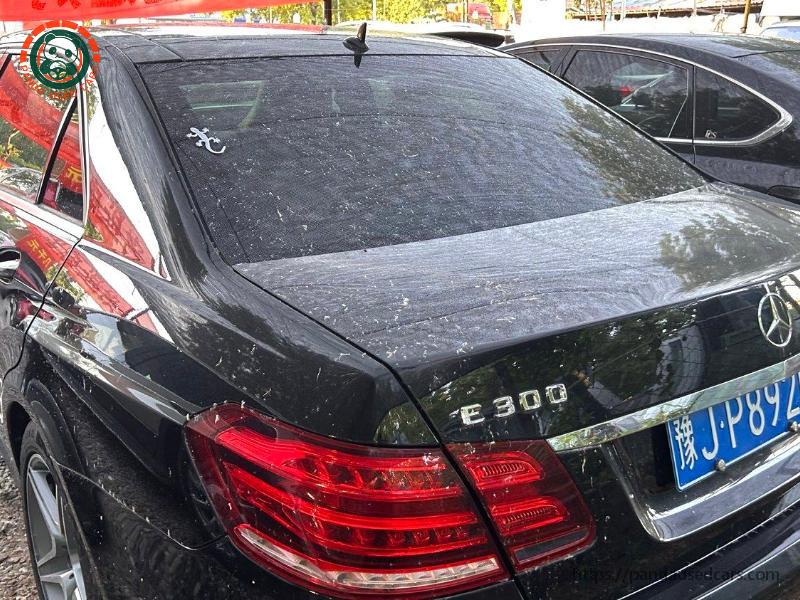 Mercedes-Benz Mercedes-Benz E-Class 2013 E 300 L 3.0 Fashion Luxury Edition AT