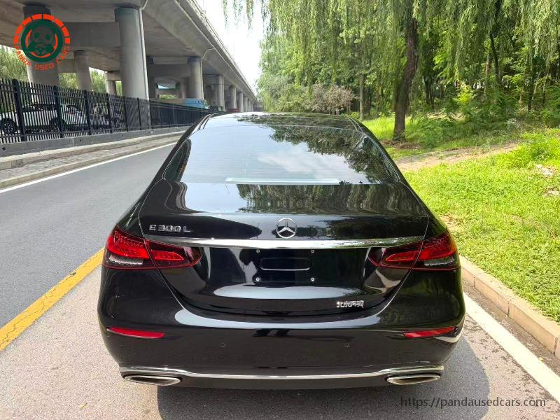 Mercedes-Benz Mercedes-Benz E-Class 2023 E 300 L 2.0T Luxury Automatic