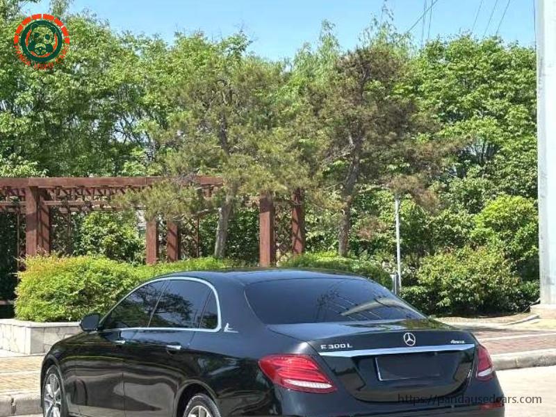 Mercedes-Benz Mercedes-Benz E-Class 2019 E 300 L 2.0T Luxury (Facelift) AT