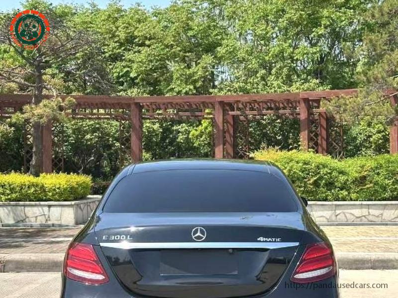 Mercedes-Benz Mercedes-Benz E-Class 2019 E 300 L 2.0T Luxury (Facelift) AT