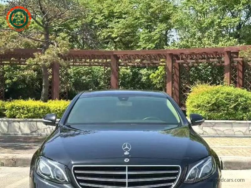 Mercedes-Benz Mercedes-Benz E-Class 2019 E 300 L 2.0T Luxury (Facelift) AT