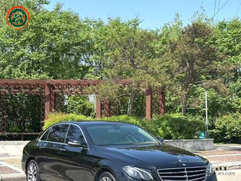 Mercedes-Benz Mercedes-Benz E-Class 2019 E 300 L 2.0T Luxury (Facelift) AT